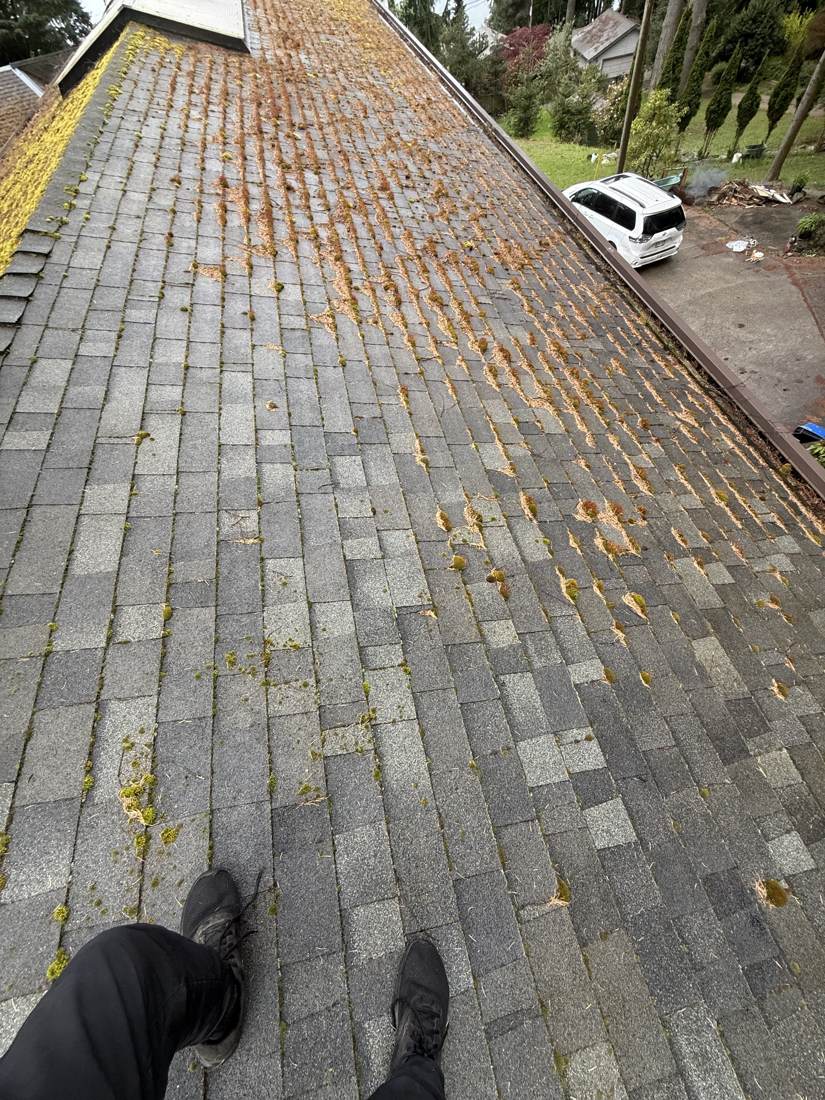 Finished roof after moss removal, angle 2