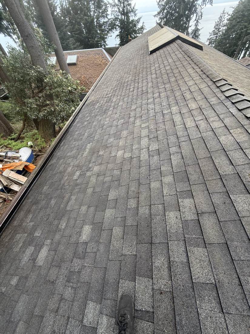 Finished roof after moss removal, angle 1